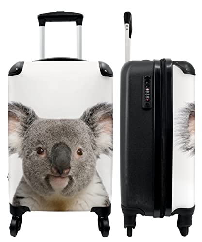 NoBoringSuitcases Maleta Koala Niños 35x55x20
