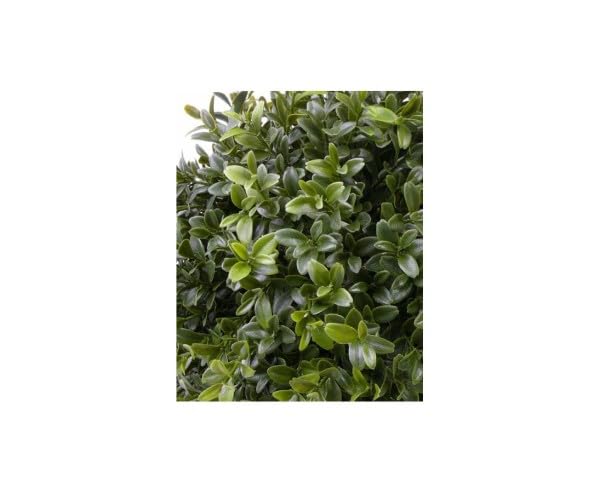 Amazon.de: kunstpflanzen-discount.com Knstlicher Buchsbusch mit 144 grnen  Blttern UV-bestndig
