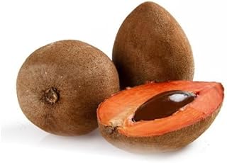 Semillas de fruta de mamey 20 piezas de color marrón