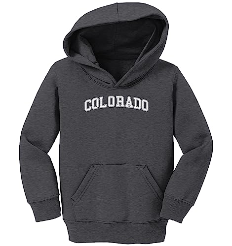 Haase Unlimited Colorado - Sports State City School Toddler/Youth Fleece Hoodie2