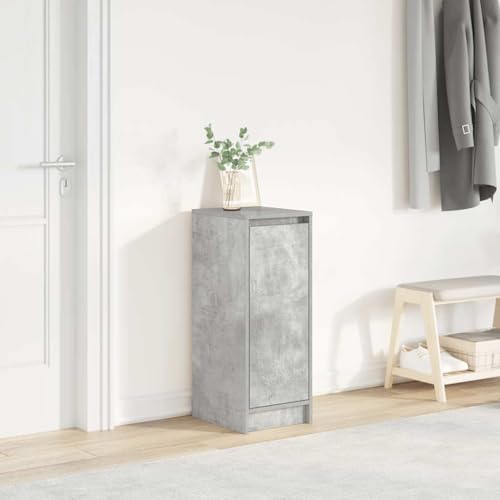 HETFTJN Scarpiera Stretta Salvaspazio con Anta Grigio Cemento 29,5x34x76 cm Legno Multistrato Organizzatore Scarpe per Ingresso