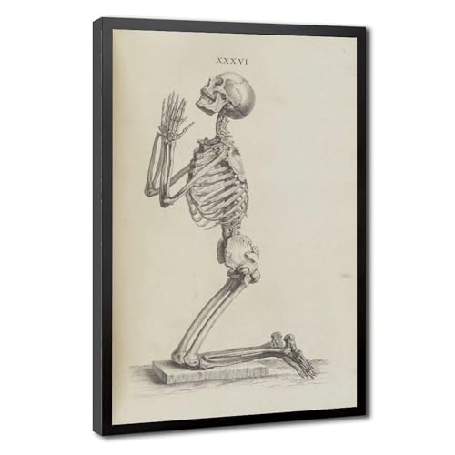 Toile squelette en prière William Cheselden cadre suspendu 50x76 cm