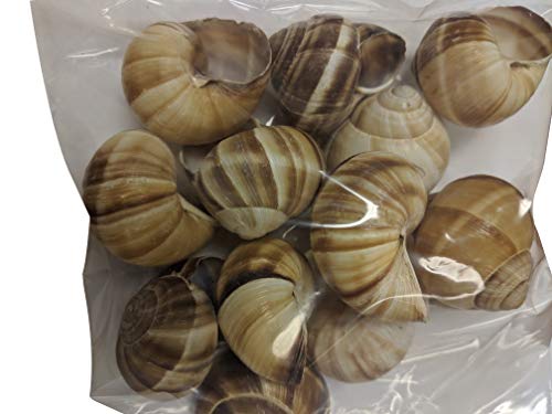 Premium Escargot Wild Burgundy Snails Rated Number One Best For Escargot Recipes Various Sizes (1 Dozen Shells)