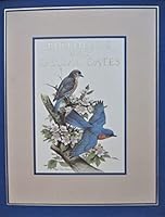 Birthdays and Special Dates 0837814685 Book Cover