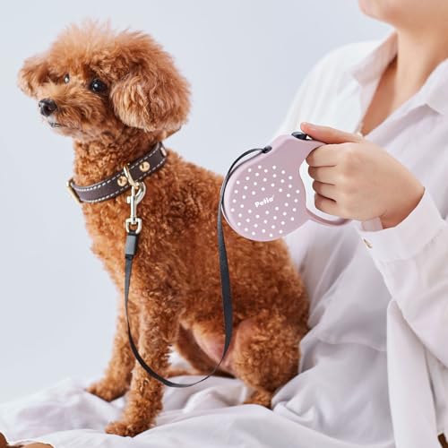 yeBI (Petio) pLk[h [[hAIRpXe sNx[W