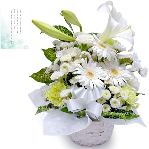 花束 生花 墓」の人気商品一覧・価格比較 - 価格.com