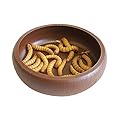 Komodo Mealworm Dish
