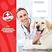 NaturVet Aller-911 Anti-Lick Paw Spray for Dogs & Cats – Includes Aloe Vera – Helps Sooth Itchy Paws, Offers Dog & Cat Allergy Support – Helps Discourage Pet Licking – 8 Oz. Spray