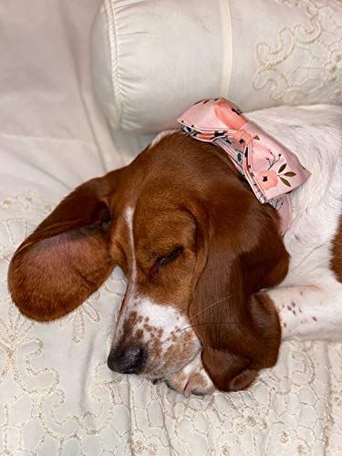 Elegant little tail Hundehalsband, Komfortables Hundehalsband mit Schleife, Rosa Blumenmädchenhalsband Verstellbare Hundehalsbänder für kleine, mittlere und große Hunde