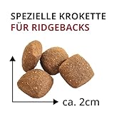 Wildsterne Breed Selection Rhodesian Ridgeback, 10 kg | Getreidefreies Trockenfutter | Monoprotein | von Tierärzten entwickelt