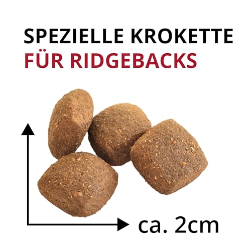 Wildsterne Breed Selection Rhodesian Ridgeback, 10 kg | Getreidefreies Trockenfutter | Monoprotein | von Tierärzten entwickelt