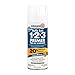 Rust-Oleum Corporation Rust-Oleum 293163, 13-Ounce, White, 13 Ounce