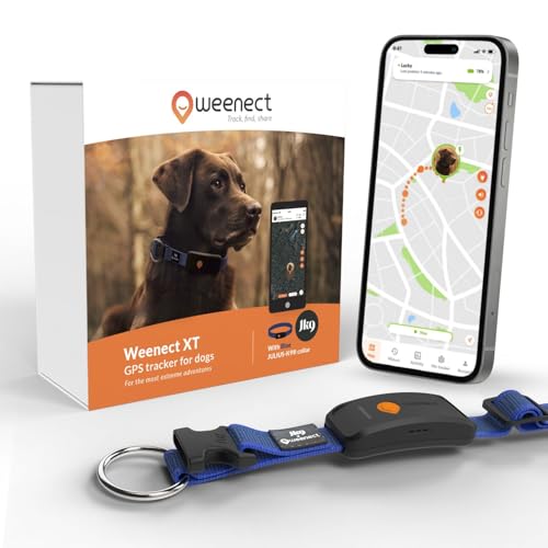 Weenect Dog XT - NUOVO Collare GPS per Cani | Antenna XL | Impermeabile | Collare blu ultra-resistente integrato Julius-K9 | Garanzia a vita | Abbonamento richiesto