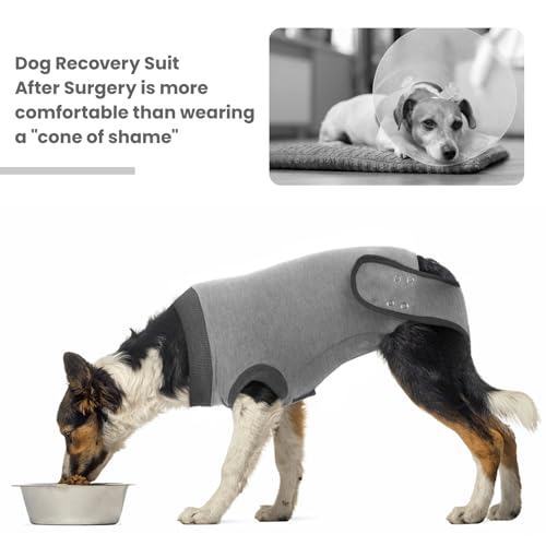 Image of IDOMIK Dog Recovery Suit for Neuter Spay,Anti-Licking Dog Surgical Bodysuit
