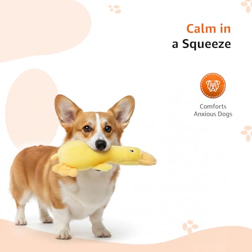 Image of Amazon Basics Fiber Stuffed Yellow Duck Crinkle Dog Toy | Soft Squeaker | Durable Cotton Fabric | for Teething & Training | Small, Medium & Large Dogs | Indoor Play