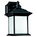 Sea Gull Lighting 89101BLE-12 Wynfield - One Light Outdoor Wall Mount, Black Finish with Frosted Glass