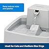 Automatic Water Bowl
