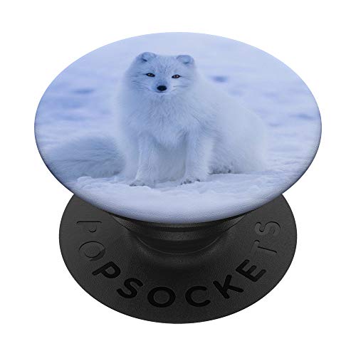 Iceland Arctic Fox Fox Animal Wildlife Winter White Snow PopSockets PopGrip: Swappable Grip for Phones & Tablets