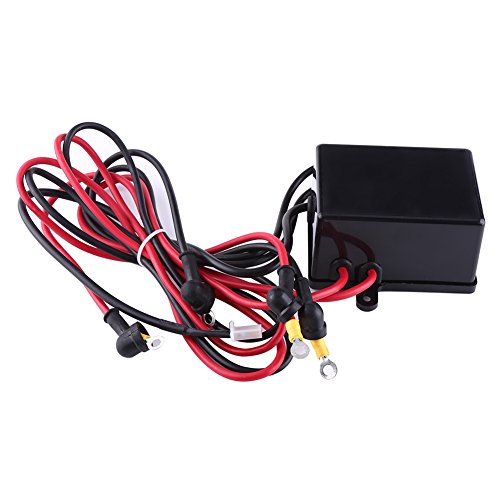 Winche eléctrico 12V 4000lbs con control remoto inalámbrico miniatura 5