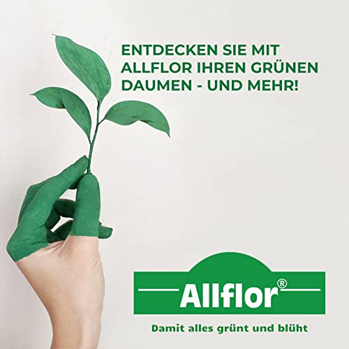 Foto von Allflor Bodenaktivator 1 x 2,5 kg Faltschachtel mit 100% natürlichen Inhaltsstoffen I Auserlesenes NPK-Mischungsverhältnis I Erhöht die Bodenfruchtbarkeit I Für besonders beanspruchte Böden