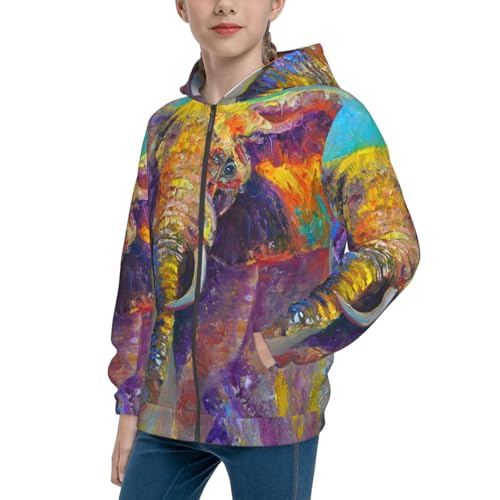 Oil Painting Elephant 1 Kids Pullover Hoodies Boys Zip Up Sweatshirts Girls Athletic Clothes with Pocket