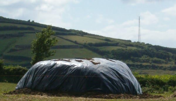 Bonerva Plástico Invernadero en Rollo | Plástico Negro | Plástico agricola | Plástico protección de Plantas | Plastico Protector de Muebles (600 galgas - Rollo 6 x 60 m (360m2))