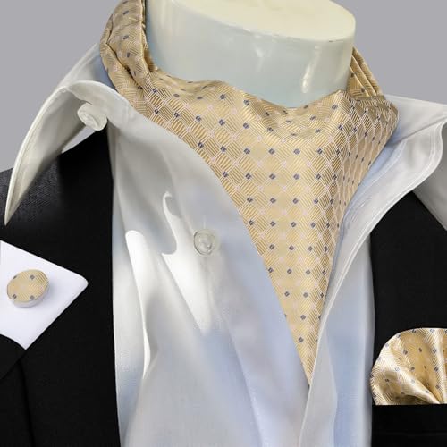 Image of DiBanGu Mens Silk Ascot Ties Paisley Jacquard Woven Cravat and Pocket Square Cufflinks with Lapel Pin for Business Wedding
