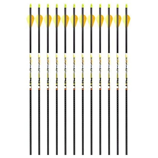Carbon Express D-Stroyer SD Hunting Arrow Shafts, 12-Pack, Small Diameter .203”ID, High Modulus Carbon Weave, Dual Spine Weight Forward Technology, Laser Checked, Length 31.5” - 300, 350 or 400 Spines