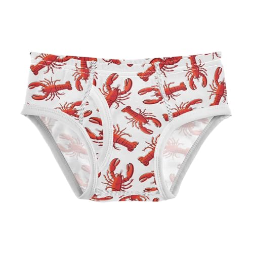 Boys' Underwear Cotton Little Boys Red Crayfish Briefs Soft Toddler Underwear 2T-8Y