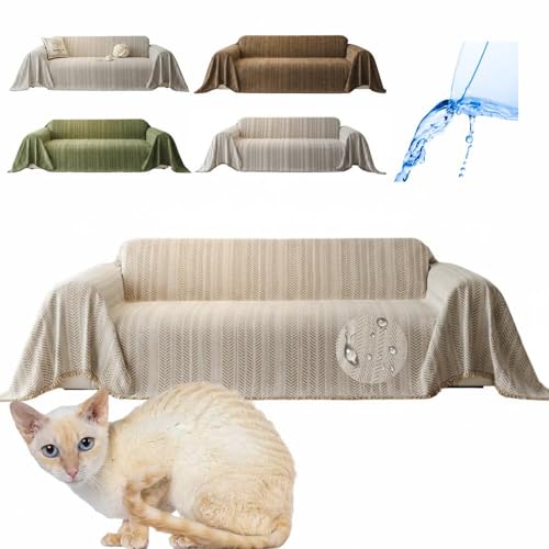 Lifetips W[}bNX German Rex \t@[Jo[ k  􂦂 h }`Jo[ 2l| 3l| It IȂ ~ Eh~ LΉ lGʗp ix[Wj i230180CMj