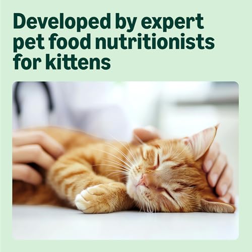 by Amazon Complete Wet Food for Kittens, Mixed Selection in Jelly, 1.2kg (12 pouches of 100g) - Image 4