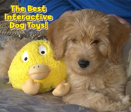 インタラクティブドッグトイ - 雪だるま