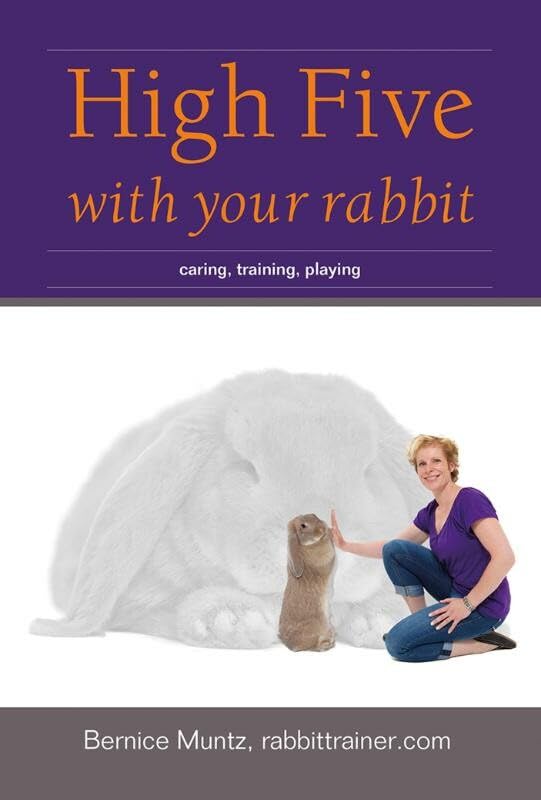 High Five with your rabbit: caring, training, playing      Paperback – January 11, 2013
