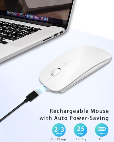 Mouse De Computadora, Personal Computer Imagen adicional