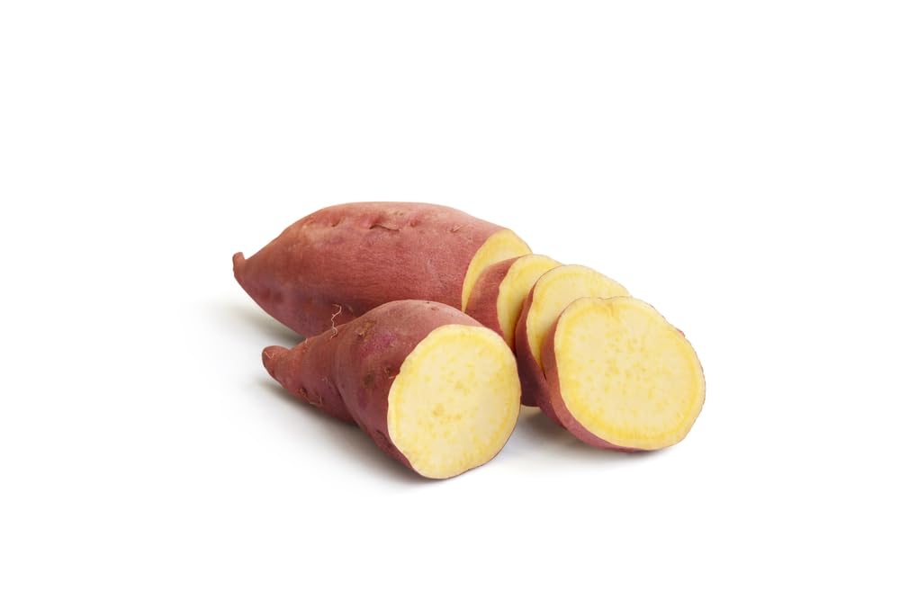 Japanese Sweet Potato Slips for Planting - Yellow Murasaki Sweet Potato Slips - Grow Your Own Sweet Potatos (10 Slips)
