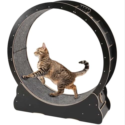 Cat Exercise Wheel Large Cat Treadmill for Indoor Cats with Two-Sided Replaceable Carpeted Runway, Corrugated Cat Wheel for Cat's Health and Fitness