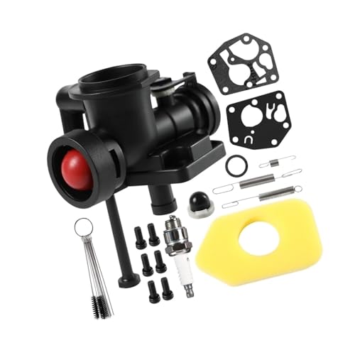 Carburateur 795477 adaptable 795469 497619 filtre bougie