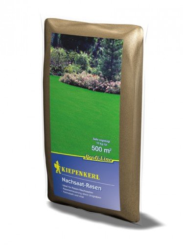 Profiline 4000159613171 Kiepenkerl Nachsaat Rasen 10 kg