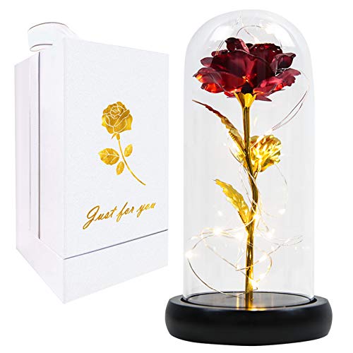 Tongtai Galaxy Rose Flower Gift, Galaxy Enchanted Rose Led String Light in Glass Dome, Gifts for Women Her Friends Female Christmas Valentine's Day Wedding Anniversary Birthday