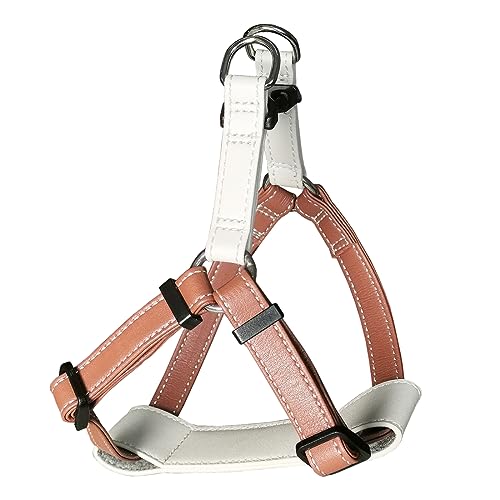 Beanspet pU[n[lX ^ ^ ăpbht {v }CNt@Co[U[ 4TCY 4J[ \  Up (uE, L)