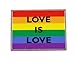 Love is Love Gay Pride Rainbow Flag Lapel Pin(1 Pack)