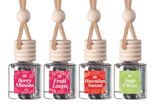 CE Craft Fruity 4 Pack Car Air Hanging Fragrance Oil Diffuser Car Air Freshener for Essential Oils, Long Lasting