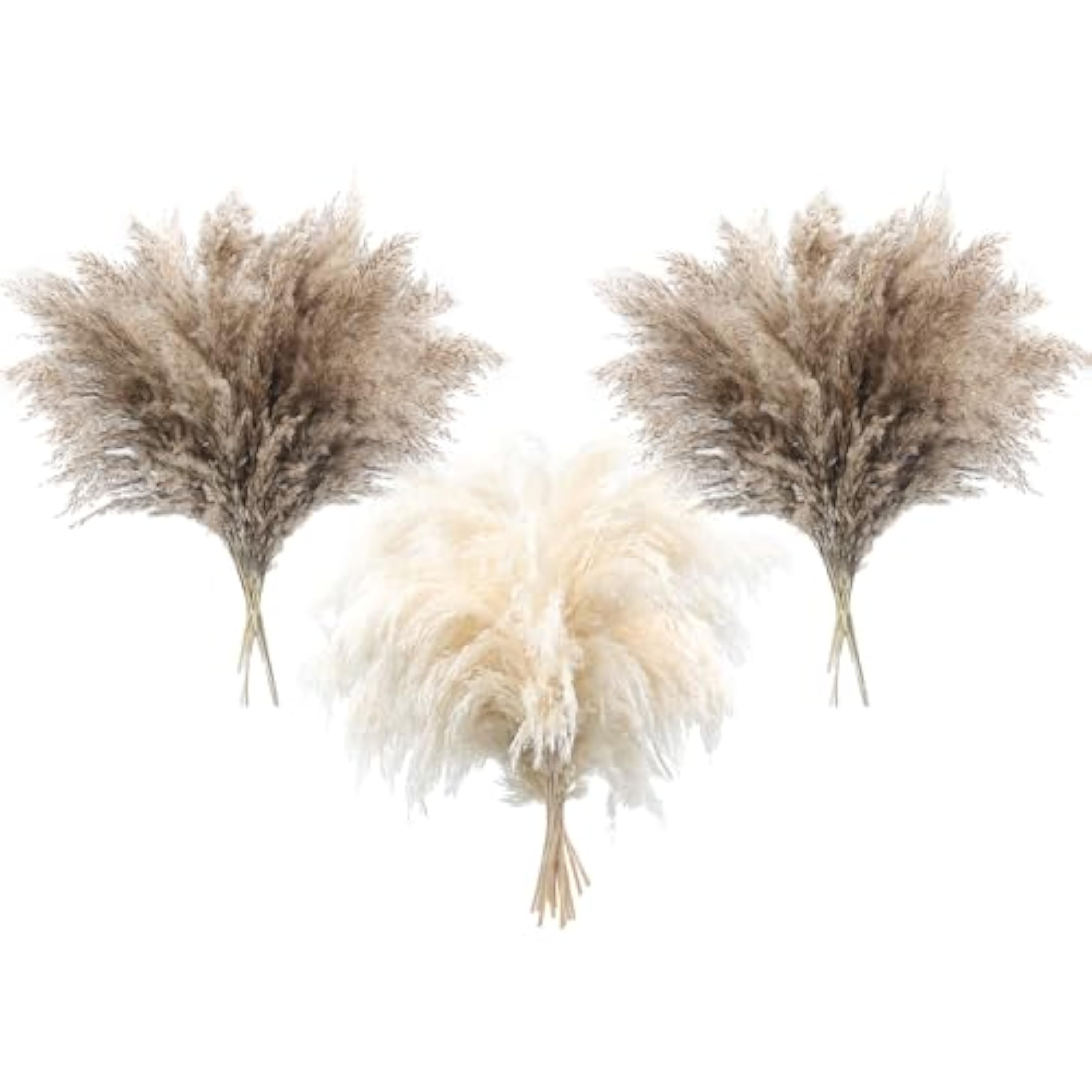 36 Piezas Decoración Bohemia de Pampas Hierba Esponjosa Pampas Secas Naturales Pequeños Paquetes Cortos a Granel Decoración del Hogar de la Mesa de la Boda Decoración（24 Naturales + 12 Blancos）