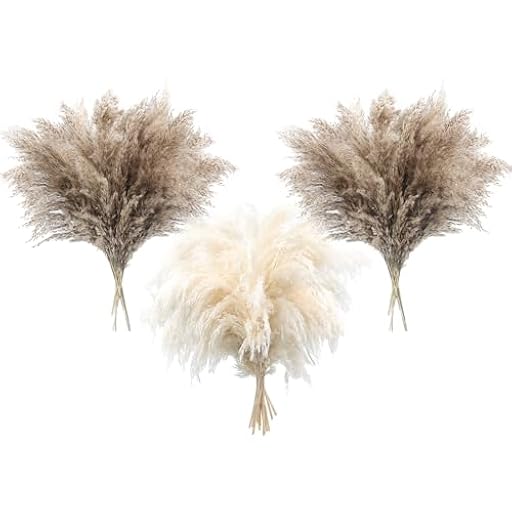 36 Piezas Decoración Bohemia de Pampas Hierba Esponjosa Pampas Secas Naturales Pequeños Paquetes Cortos a Granel Decoración del Hogar de la Mesa de la Boda Decoración(24 Naturales + 12 Blancos) | Ya disponible en tu tienda friki favorita! En mundofriki.es! 36 Piezas Decoración Bohemia de Pampas Hierba Esponjosa Pampas Secas Naturales Pequeños Paquetes Cortos a Granel Decoración del Hogar de la Mesa de la Boda Decoración(24 Naturales + 12 Blancos) | Ya disponible en tu tienda friki favorita! En mundofriki.es!