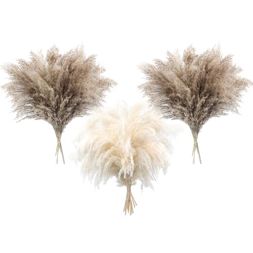 36 Piezas Decoración Bohemia de Pampas Hierba Esponjosa Pampas