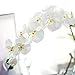 Meiliy 2pcs 11 Heads White Artificial Phalaenopsis Flower Real Touch Butterfly Orchid Flower Latex Orchids for Home Decoration Wedding Centerpieces Decorative Artificial Flowers (with no vase)