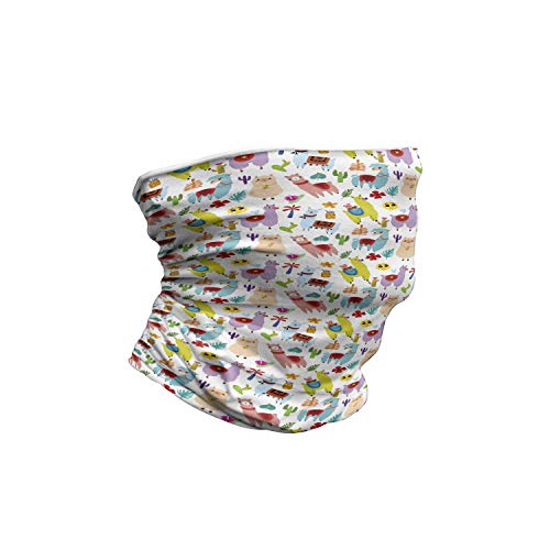 Ambesonne Unisex Multicolor Face and Neck Warmers