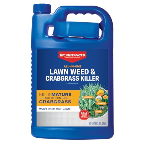 BioAdvanced All-in-One Lawn Weed & Crabgrass Killer Concentrate - 1 gal