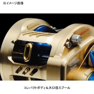 Amazon | ダイワ(DAIWA) 21バサラ 100H 両軸リール | ダイワ
