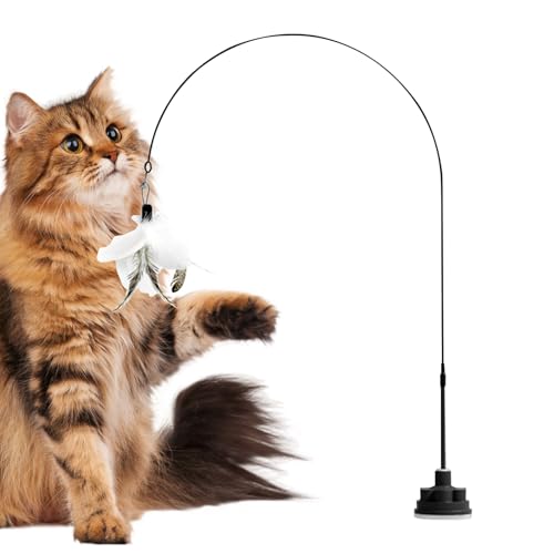 LpeB[U[,xtlRpXeBbN C^NeBugC - zՕtC^NeBu L̎Vїp hAΉ v̂ybgpi